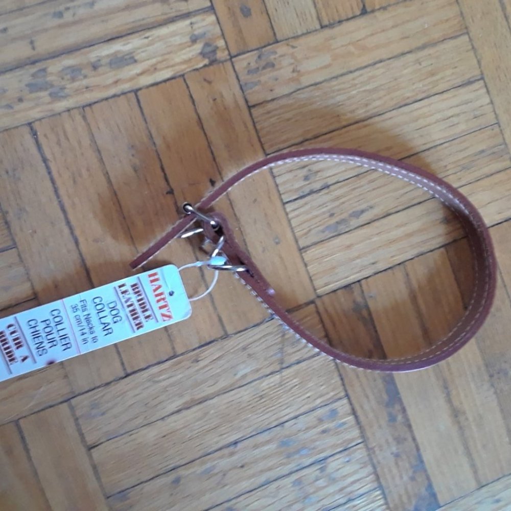 Dog collar